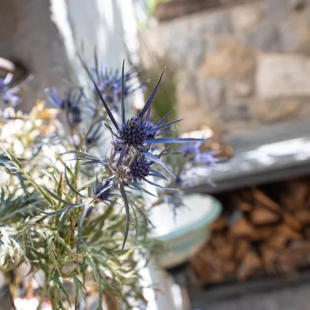 Holiday home Spod Korit - Brgudac, Opatija With Hot Tub And Free Parking